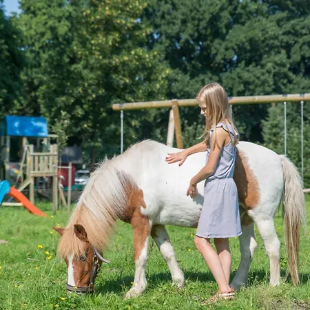 Lägenhet Huxfeld-hof - Wiesenblick